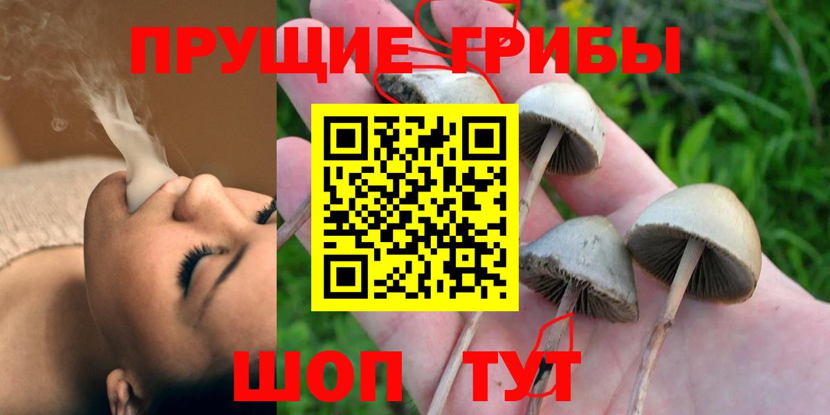 Галлюциногенные грибы Cubensis Карпинск